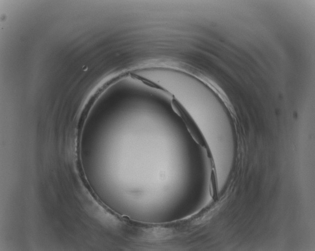 X0000081490992200701121505