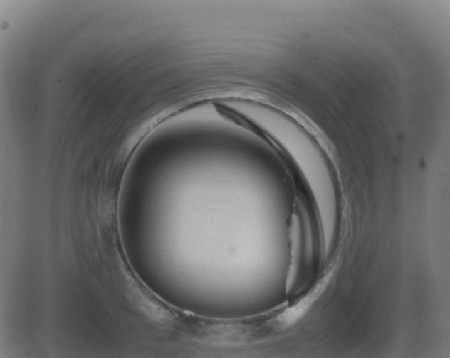 X0000081490993200701121505