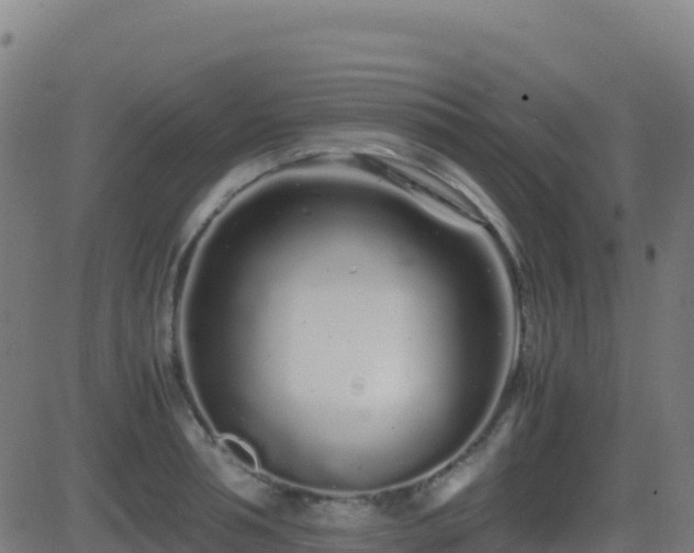 X0000081490994200701121505