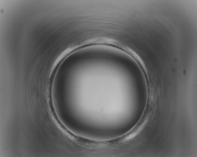 X0000081490997200701121505