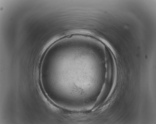 X0000081490999200701121505