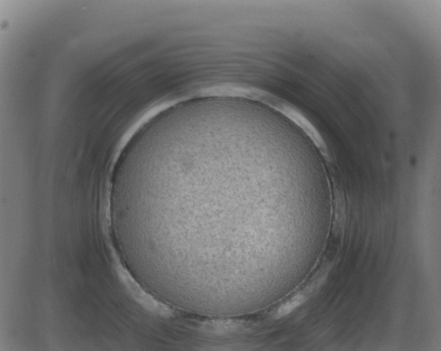 X0000081491000200701121505