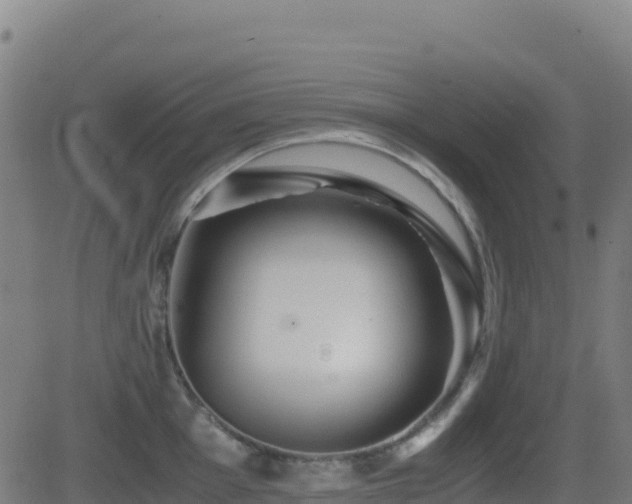 X0000081491001200701121505