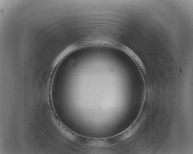 X0000081491002200701121505