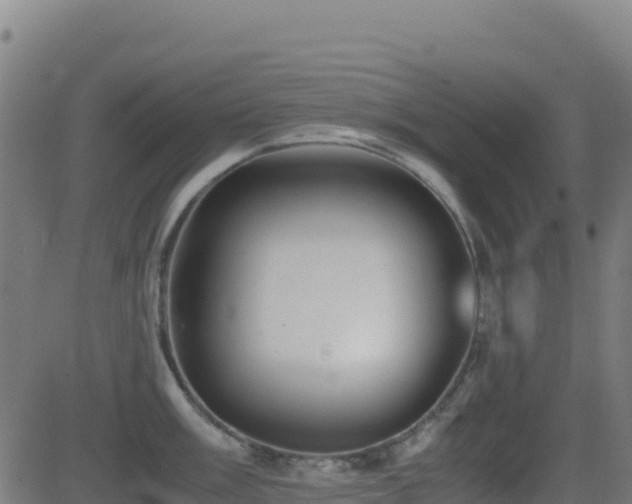 X0000081491003200701121505