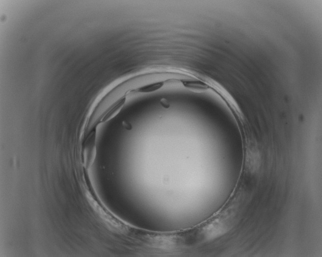 X0000081491004200701121505