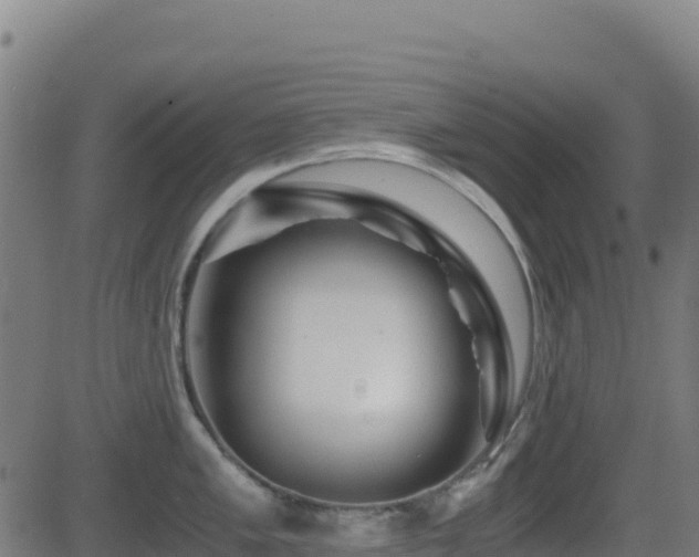 X0000081491005200701121505