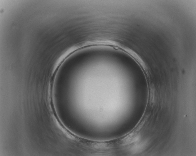 X0000081491006200701121505