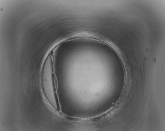 X0000081491008200701121505