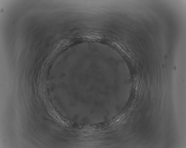 X0000081491009200701121504