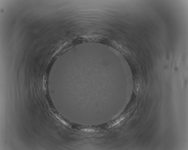 X0000081491010200701121504