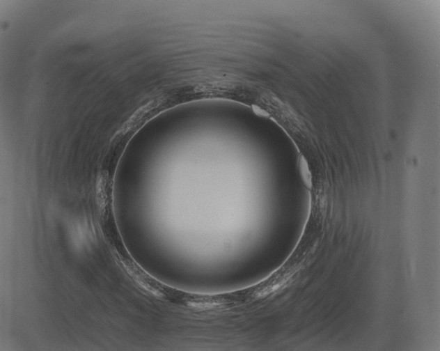 X0000081491012200701121504