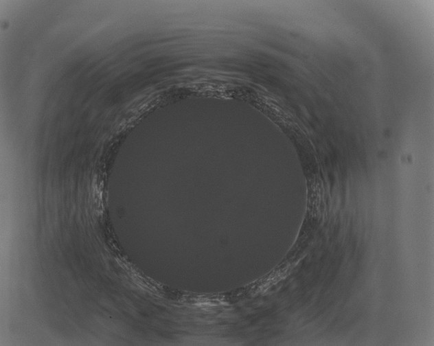 X0000081491013200701121504