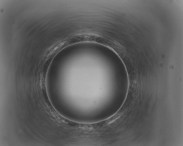 X0000081491014200701121504