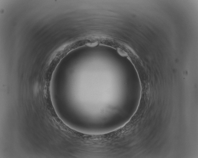 X0000081491016200701121504