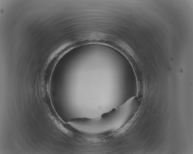 X0000081491018200701121504