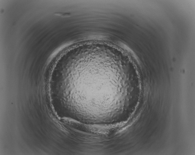 X0000081491019200701121504