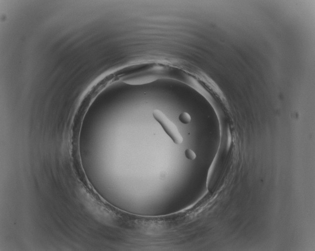 X0000081491020200701121504