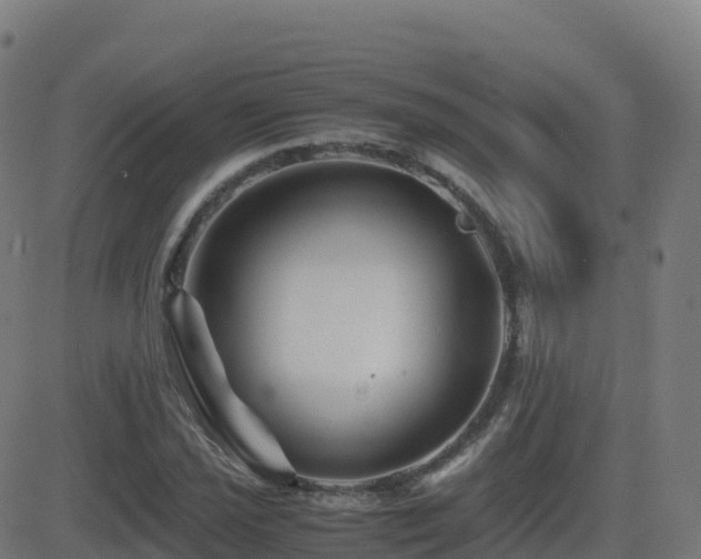 X0000081491021200701121504