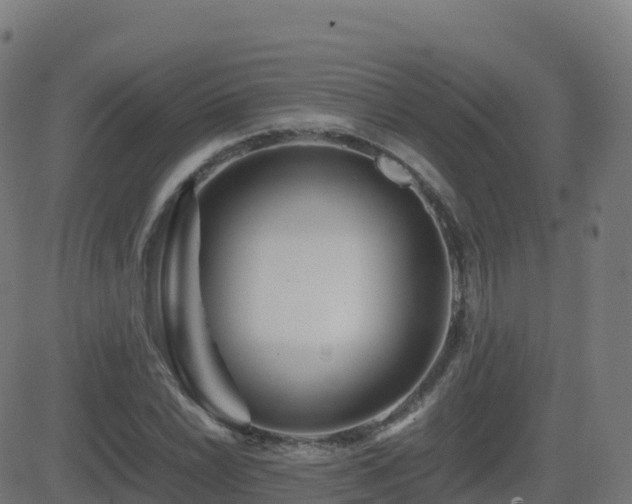 X0000081491022200701121504