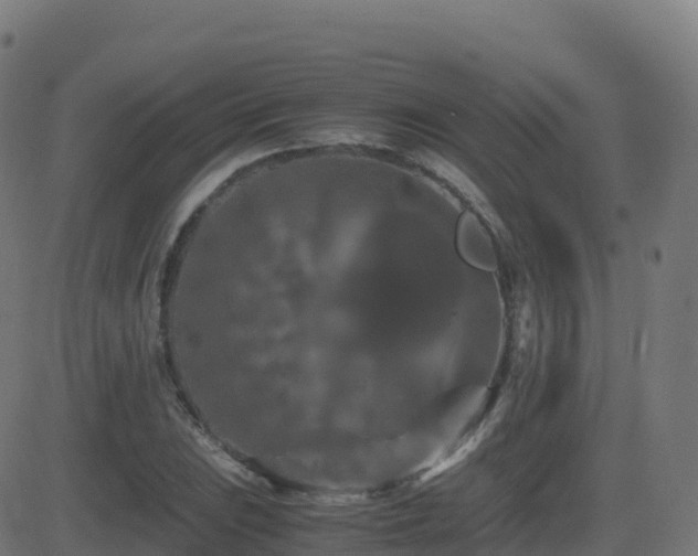 X0000081491023200701121505