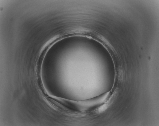 X0000081491026200701121505