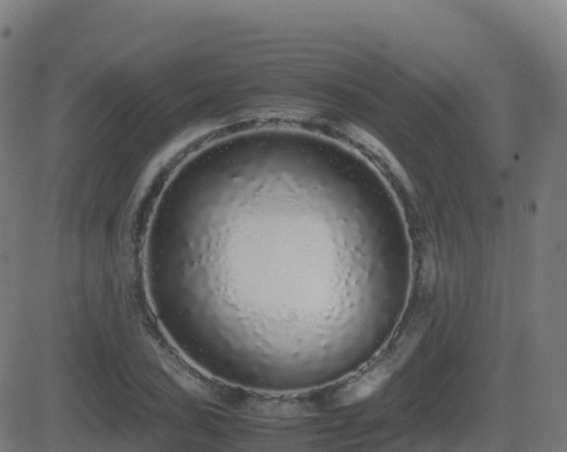 X0000081491027200701121505