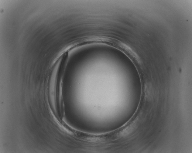 X0000081491033200701121505