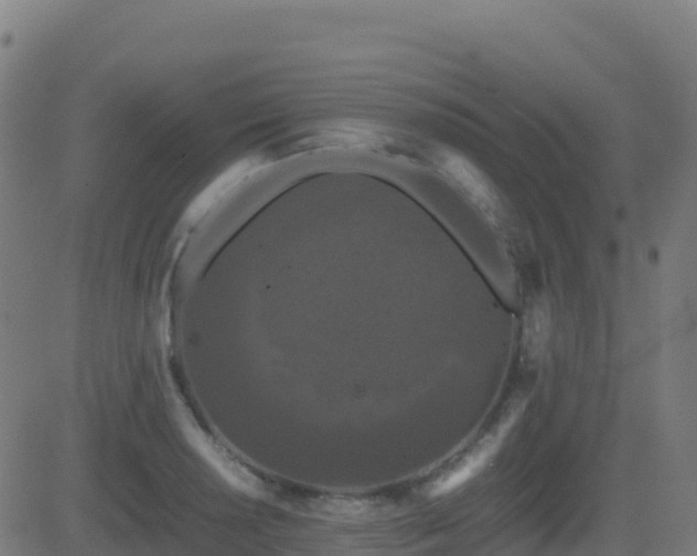 X0000081491034200701121505