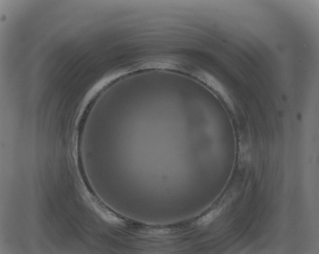 X0000081491035200701121505