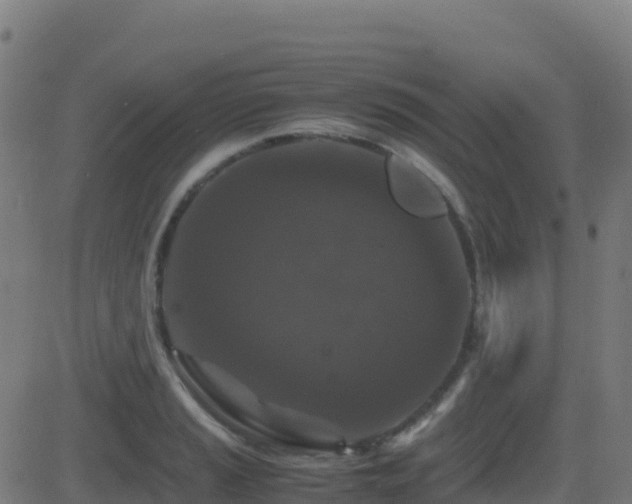 X0000081491037200701121505