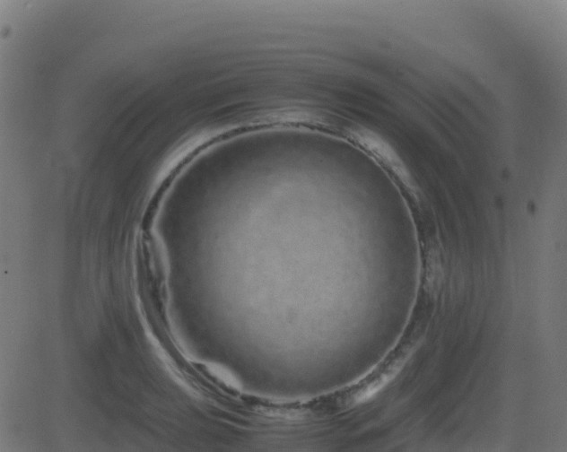 X0000081491039200701121505