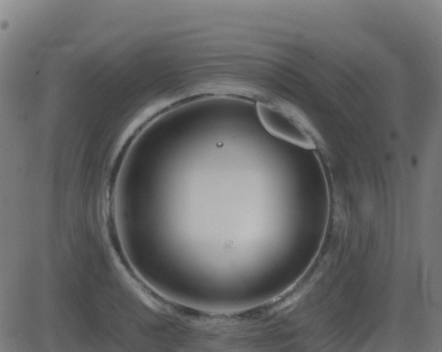 X0000081491040200701121505