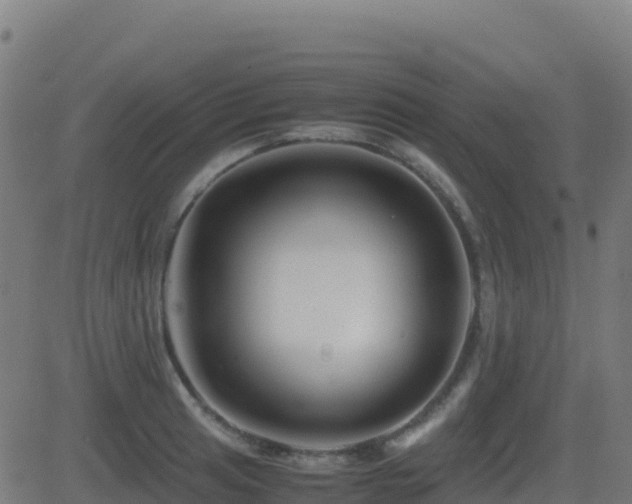 X0000081491041200701121505