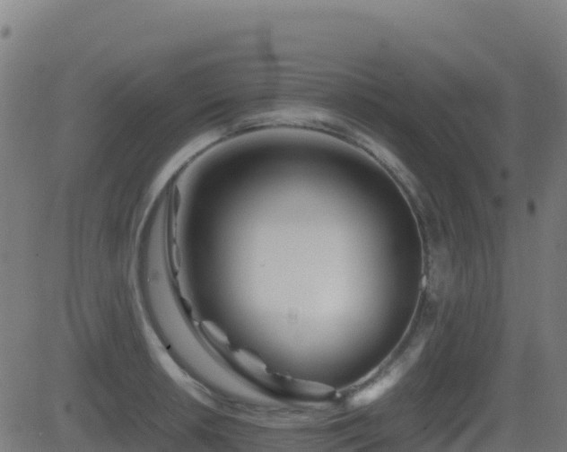 X0000081491042200701121505