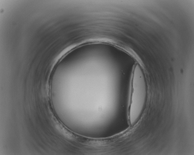 X0000081491044200701121505