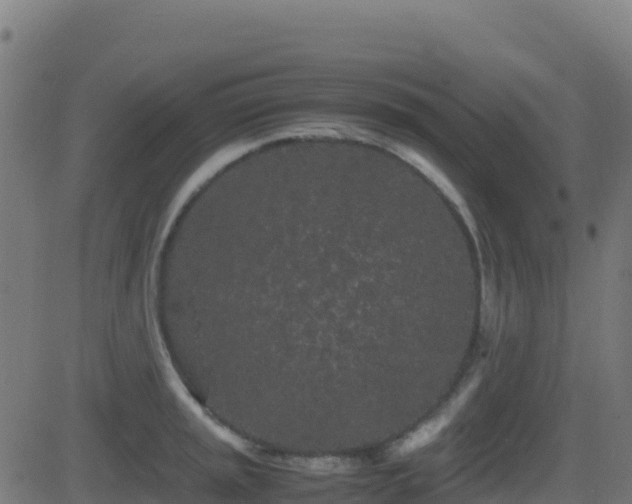 X0000081491045200701121505