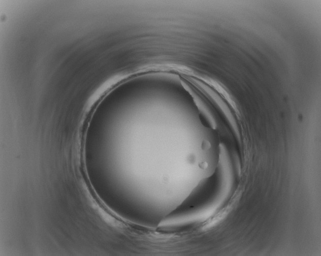 X0000081491046200701121505