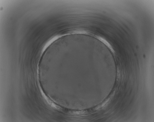 X0000081491047200701121505