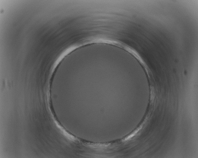 X0000081491048200701121505