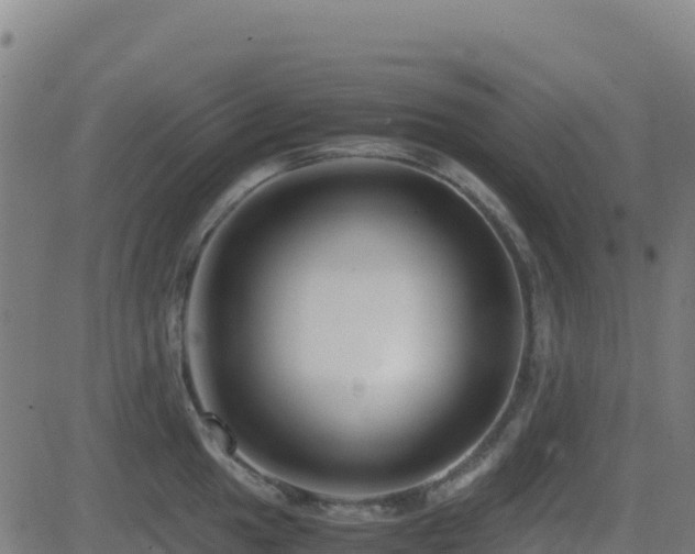 X0000081491049200701121505