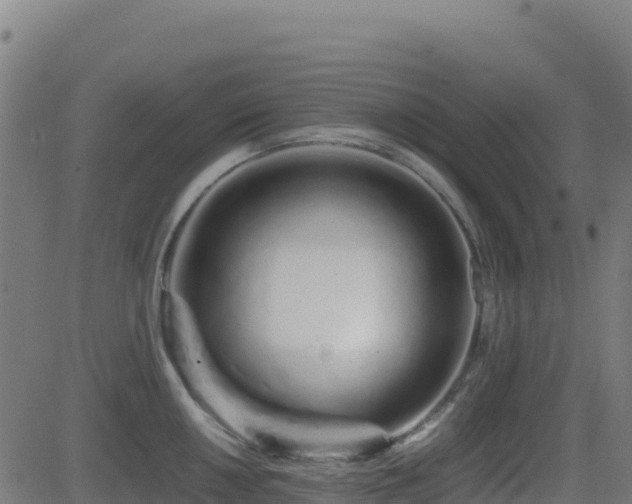 X0000081491050200701121505