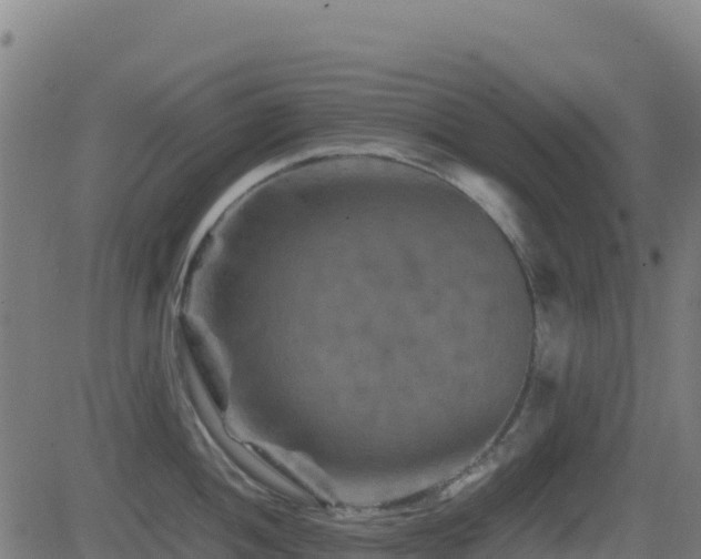 X0000081491052200701121505