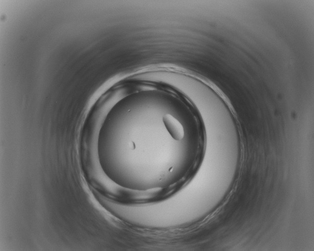 X0000081491054200701121505