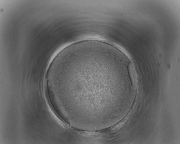 X0000081491056200701121505