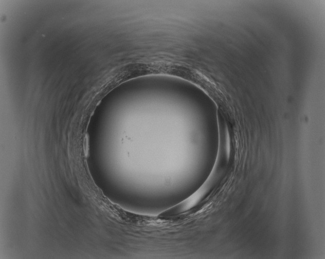 X0000081491057200701121504