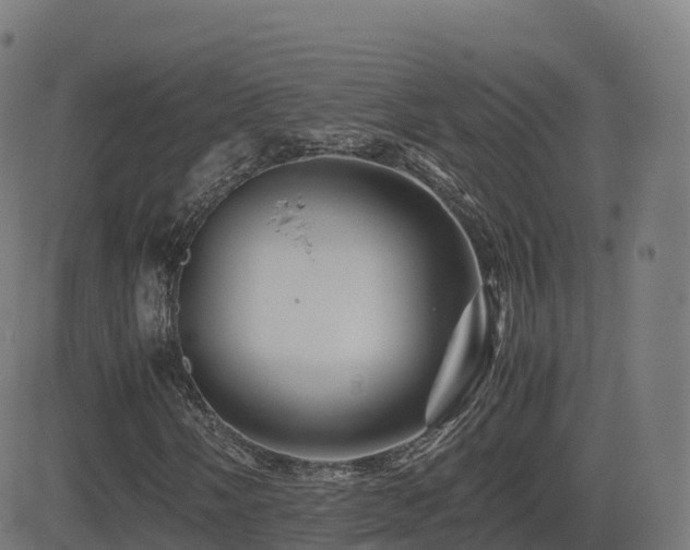 X0000081491058200701121504