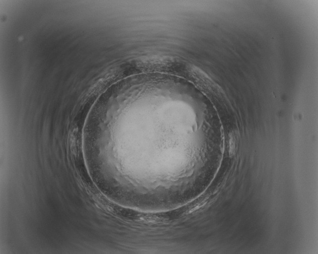 X0000081491059200701121504