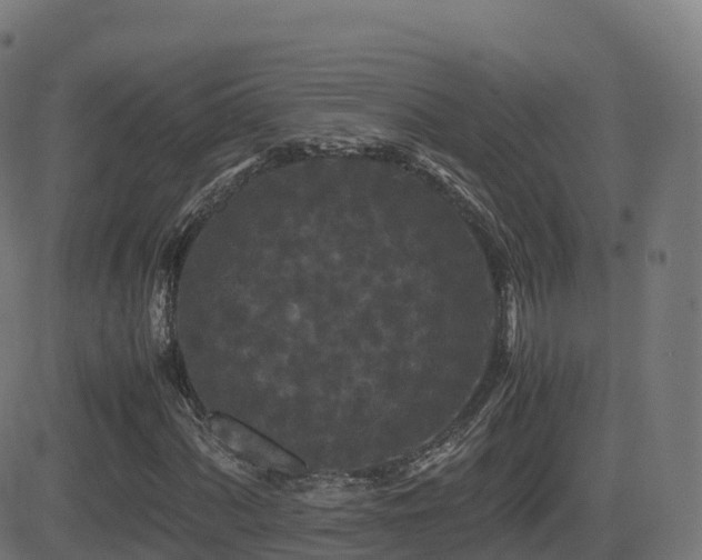 X0000081491060200701121504