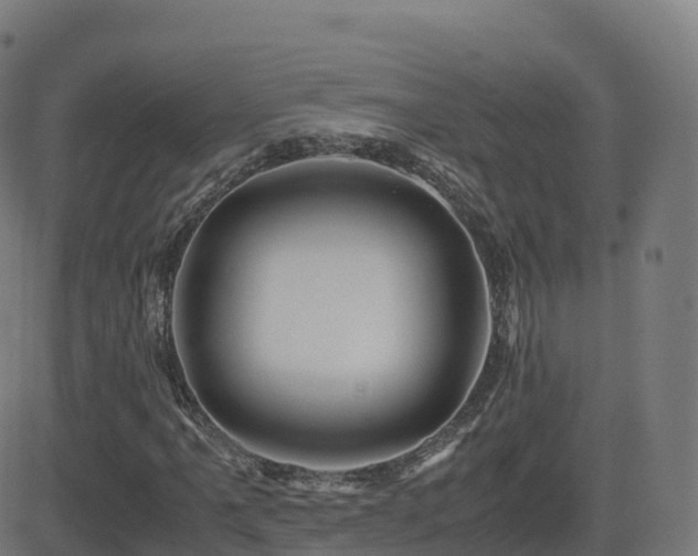 X0000081491061200701121504